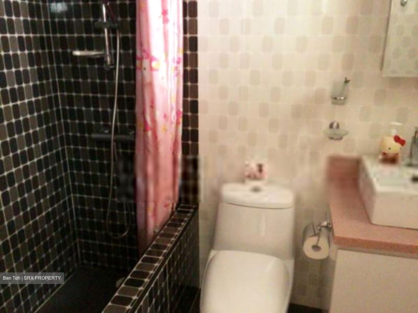 Blk 12 Farrer Park View (Kallang/Whampoa), HDB 3 Rooms #408160921